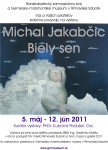 Michal Jakabčic- Biely sen