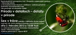 Príroda v detaile – detaily v prírode a Sex v tráve (detaily z intímneho života hmyzu)