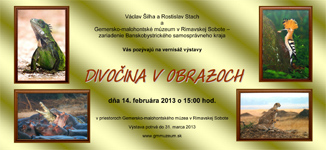 Divočina v obrazoch Václava Šilhu a Rostislava Stacha