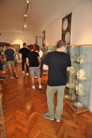 Kameninové črepiny spomienok v tvojej pamäti. Zábavný tréning pozornosti a pamäte.