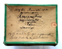 Kytička sušených kvetov z bitky o Branisko pri Prešove