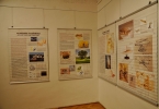 Bionika – príroda na to prišla prvá